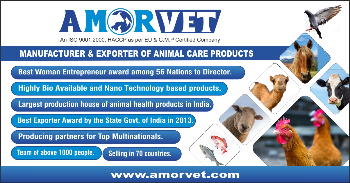 Amorvet Animal Feed Supplement Manufacturer